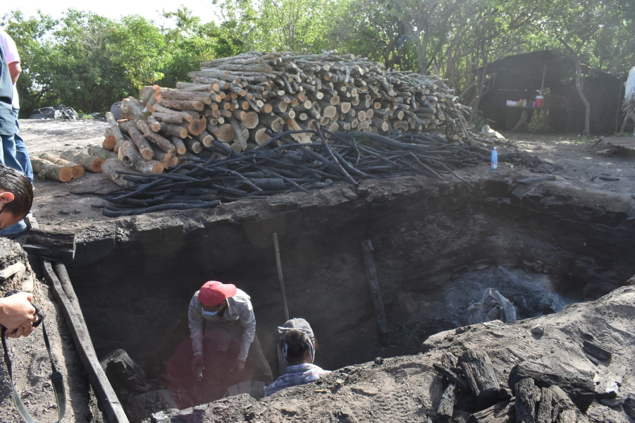 Ocupa Tamaulipas segundo lugar a nivel nacional en producción de carbón Ocupa Tamaulipas segundo lugar a nivel nacional en producción de carbón