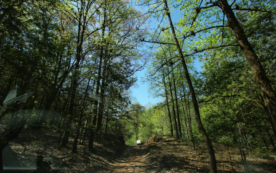 Reafirman compromiso por la biodiversidad en El Cielo. Reafirman compromiso por la biodiversidad en El Cielo.