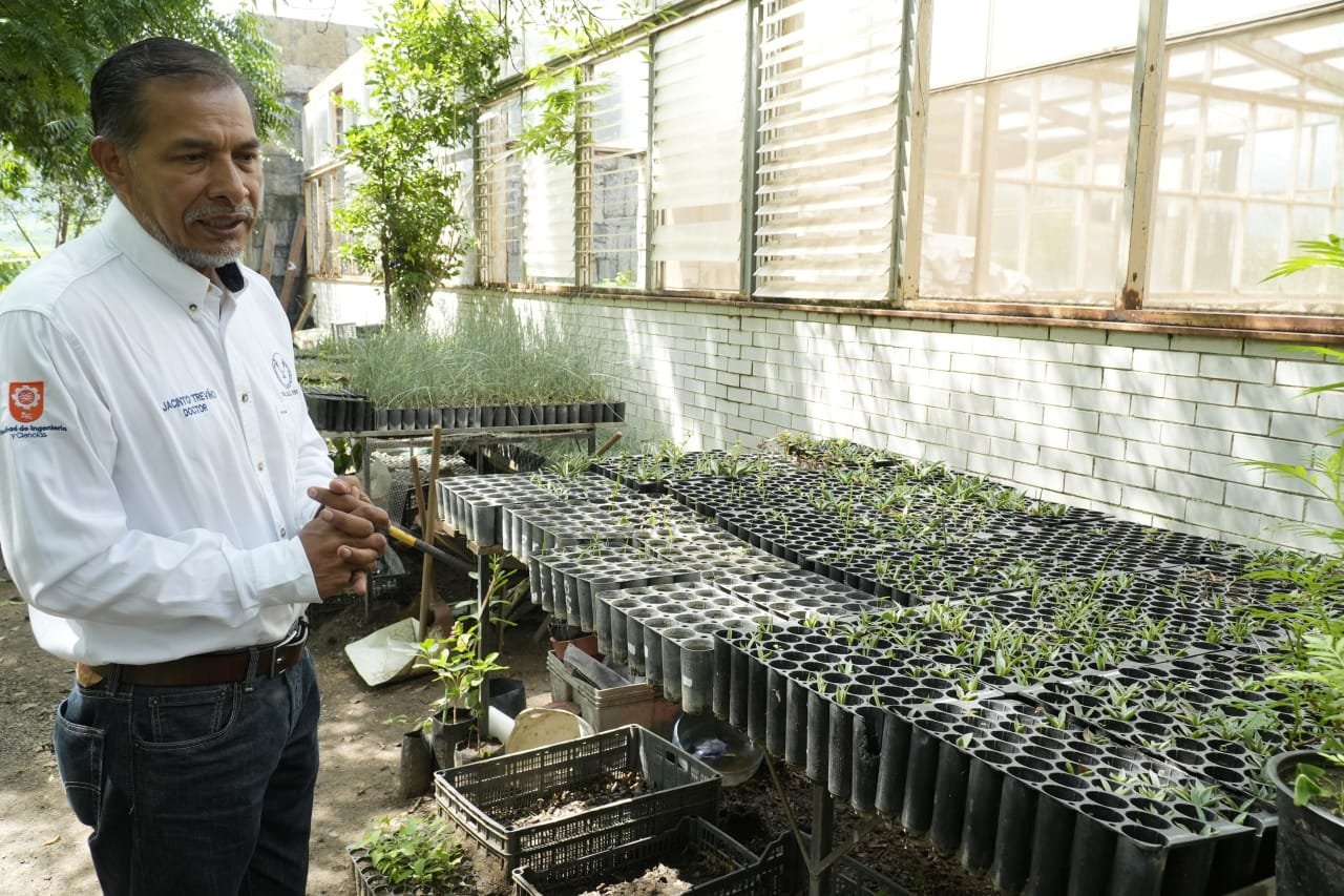 Implementa la UAT manejo sustentable del maguey mezcalero en Miquihuana Implementa la UAT manejo sustentable del maguey mezcalero en Miquihuana