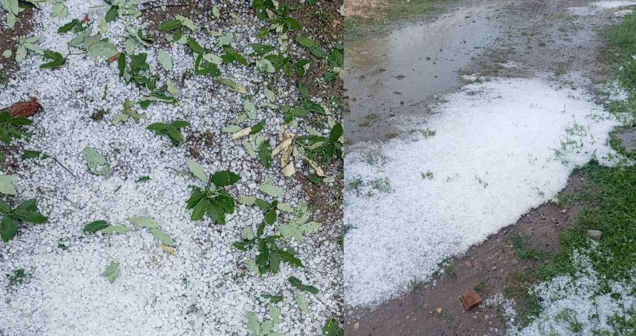 Se registra fuerte granizada en ejido Ávila y Urbina de Jaumave, Tamaulipas