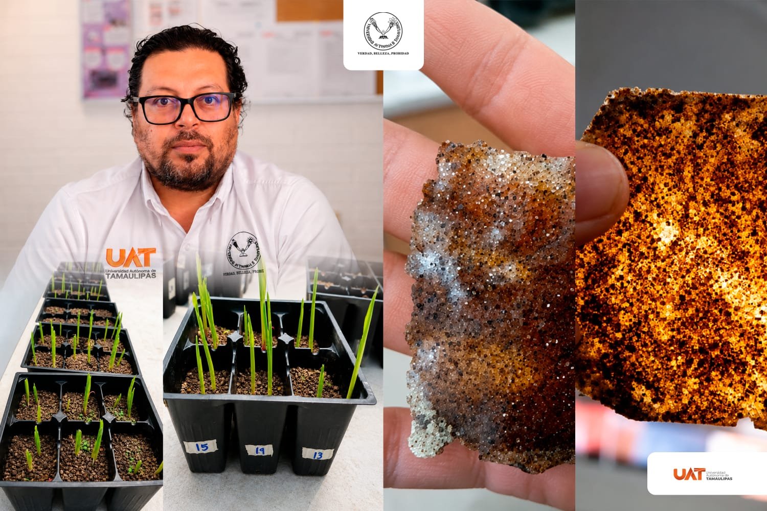 Patenta la UAT bioplásticos que recuperan suelos erosionados Patenta la UAT bioplásticos que recuperan suelos erosionados
