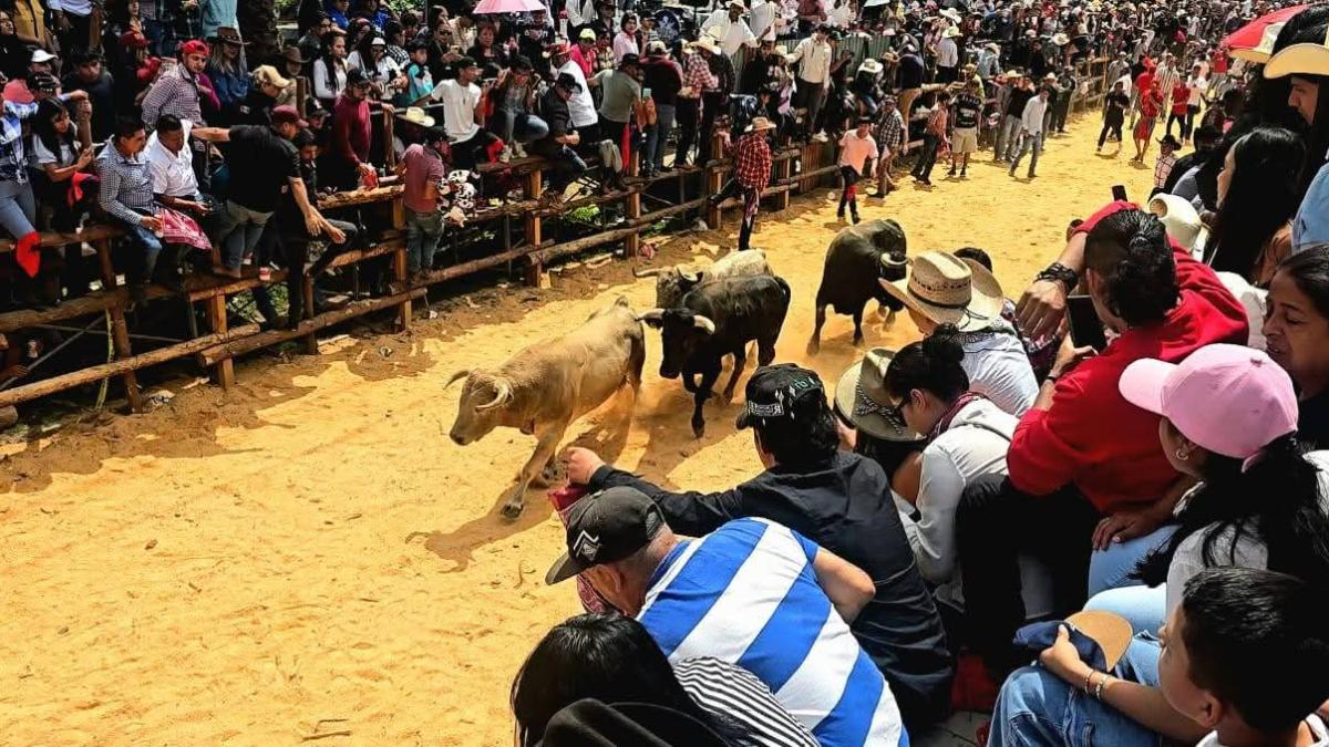 Unas 20 mil personas disfrutan de la tradicional “Santiagada” en Hidalgo