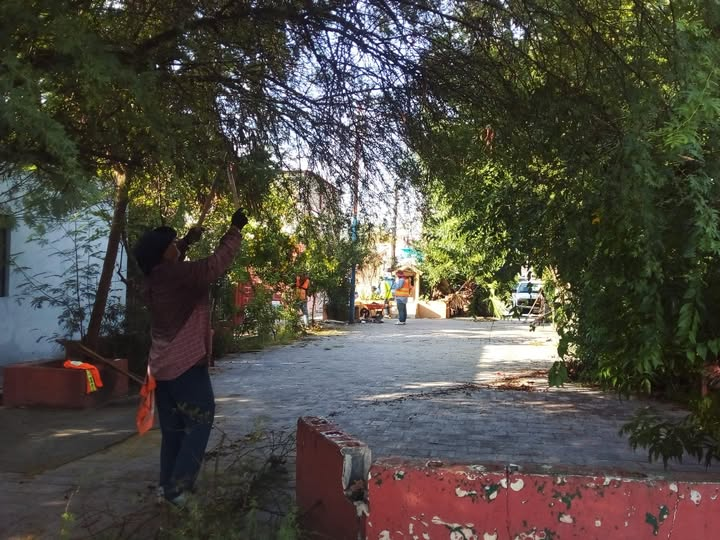 Con acciones permanentes en distintos sectores de la ciudad, personal de Servicios Públicos atiende los reportes canaliz…