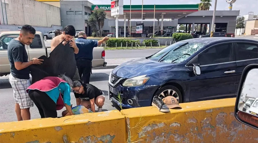 «Abuelito» es arrollado mientras cruzaba el bulevar Hidalgo «Abuelito» es arrollado mientras cruzaba el bulevar Hidalgo