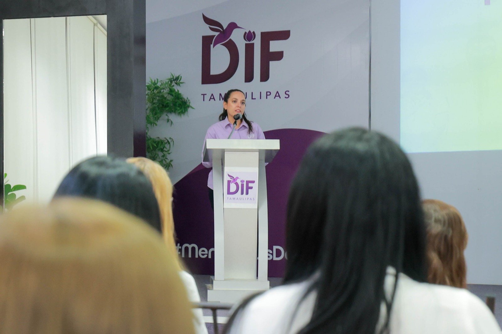 Premia DIF Tamaulipas a organizaciones ganadoras de la convocatoria Familias en Paz 2026