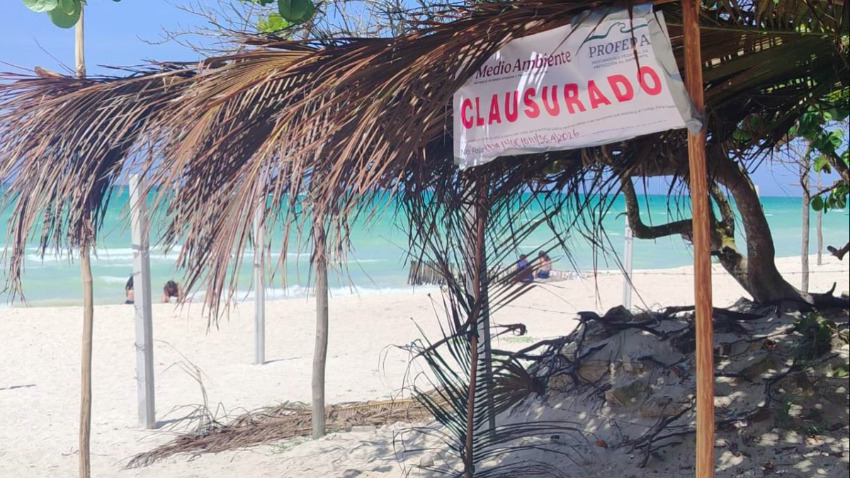 Clausuran palapas instaladas de manera irregular en playa de Yucatán
