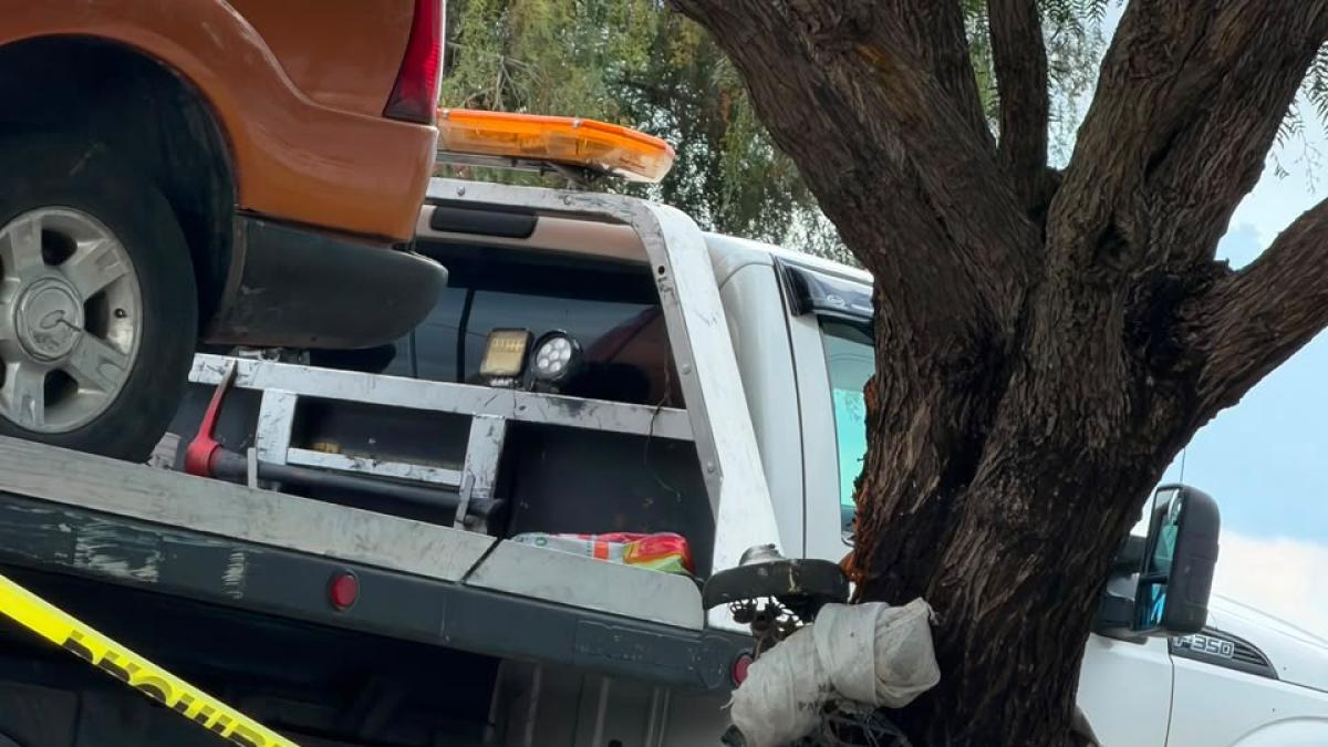Camioneta atropella a un ciclista; lo deja prensado contra un árbol Camioneta atropella a un ciclista; lo deja prensado contra un árbol