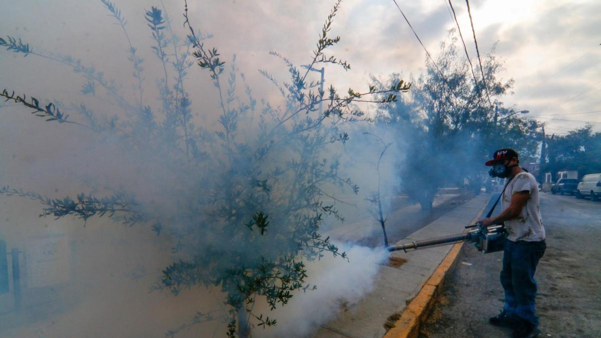 Aumentan casos de dengue en el país; suman 3 mil 884