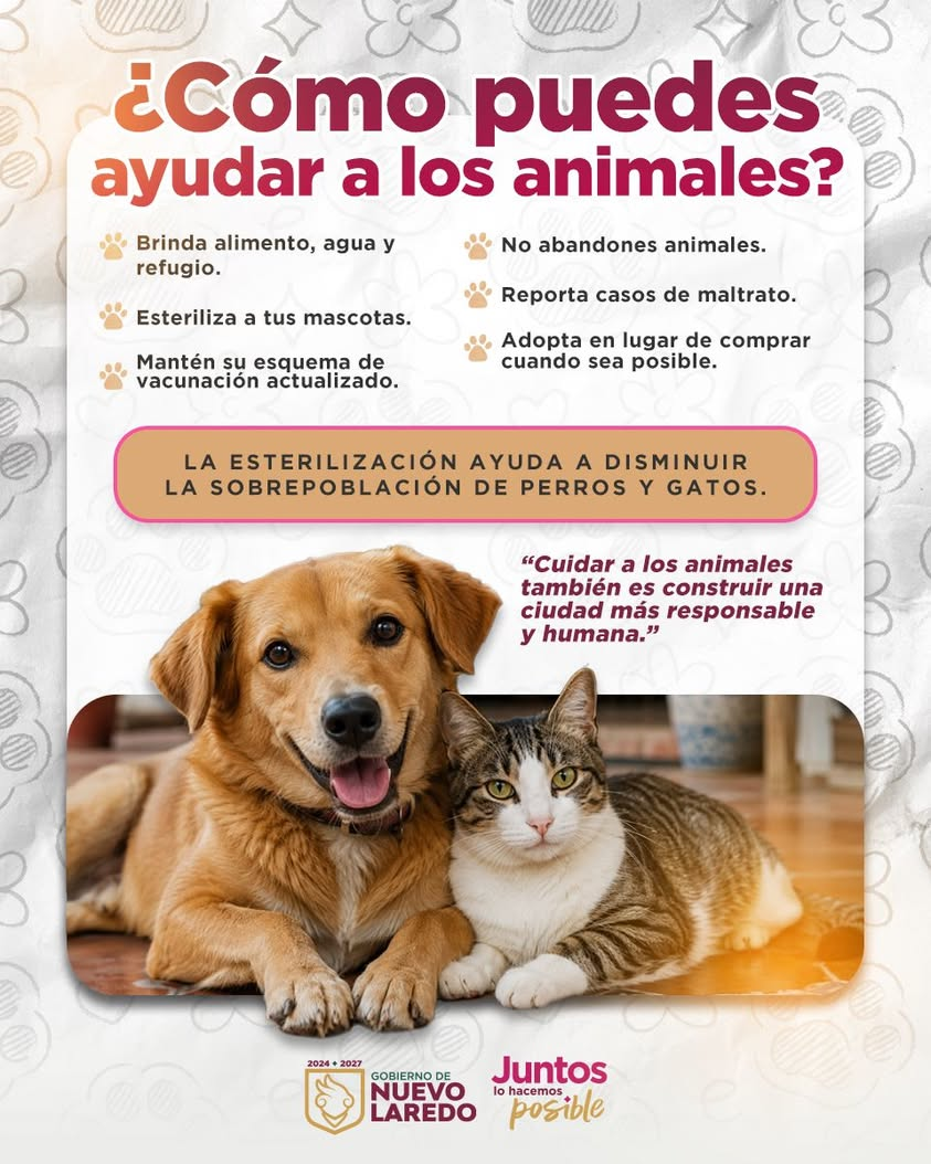 Cuidarlos también es una forma de demostrar cuánto nos importan. Cada vez que elegimos actuar con responsabilidad y emp… Cuidarlos también es una forma de demostrar cuánto nos importan. Cada vez que elegimos actuar con responsabilidad y emp…