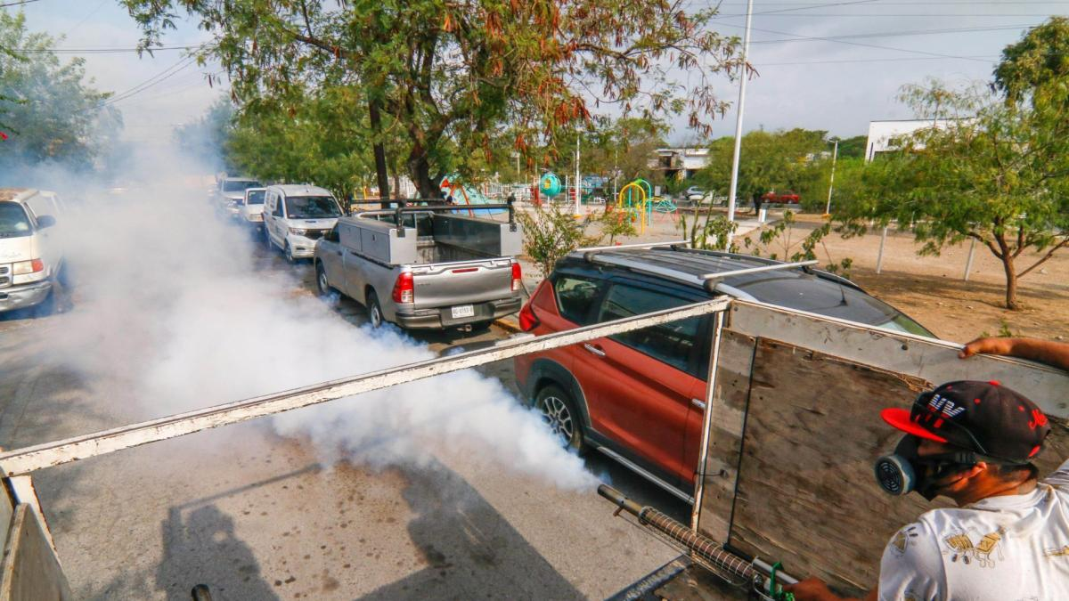 Dengue cobra fuerza: triplica sus muertes y rebasa los 5 mil casos