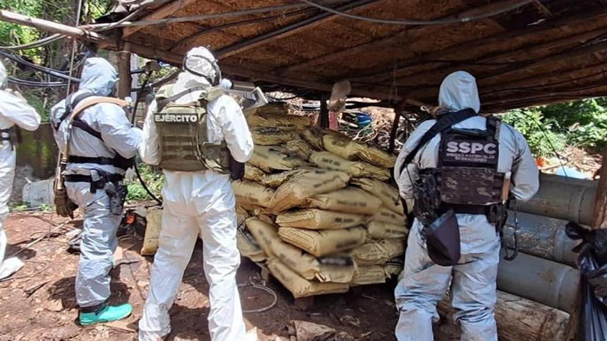 Desmantelan cuatro laboratorios de drogas sintéticas en Michoacán y Guerrero