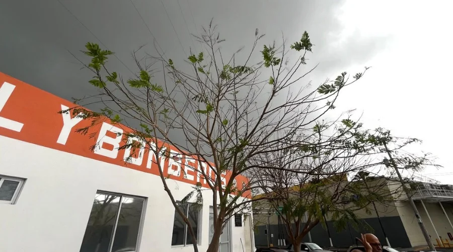Este martes inicia oficialmente el otoño Este martes inicia oficialmente el otoño