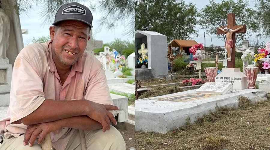 Vive Delfino de la limpieza de tumbas Vive Delfino de la limpieza de tumbas